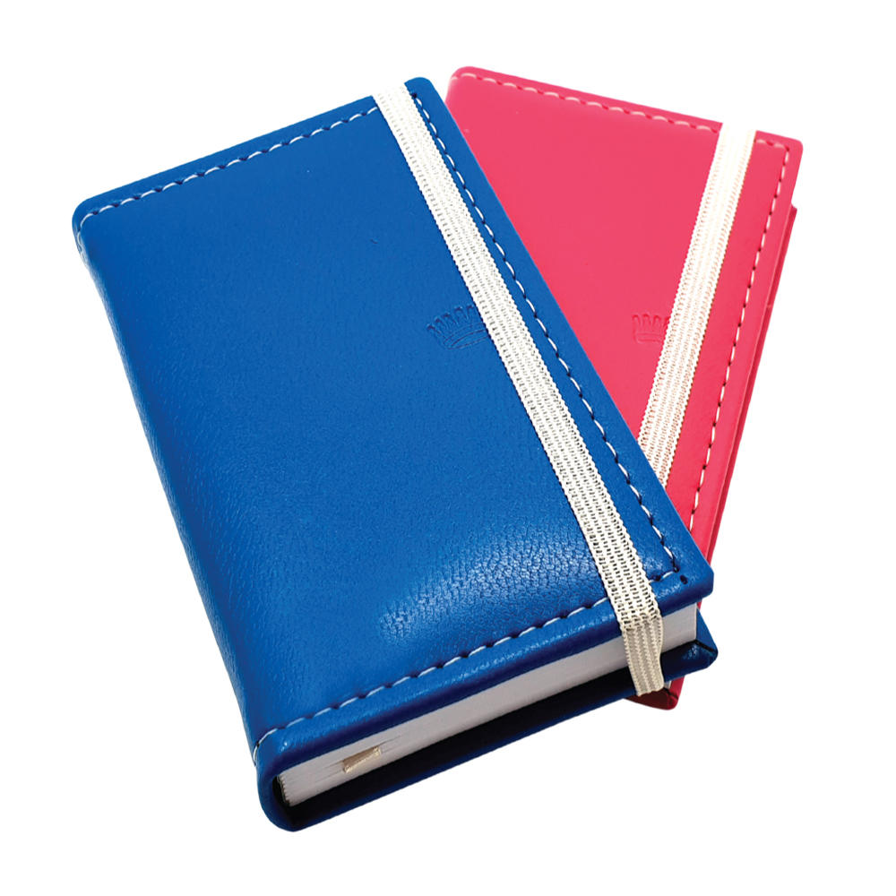 AGENDA NIVEL 10 POWER EURO S/VISTA 16 X 8 CM V/COLORES (3123)