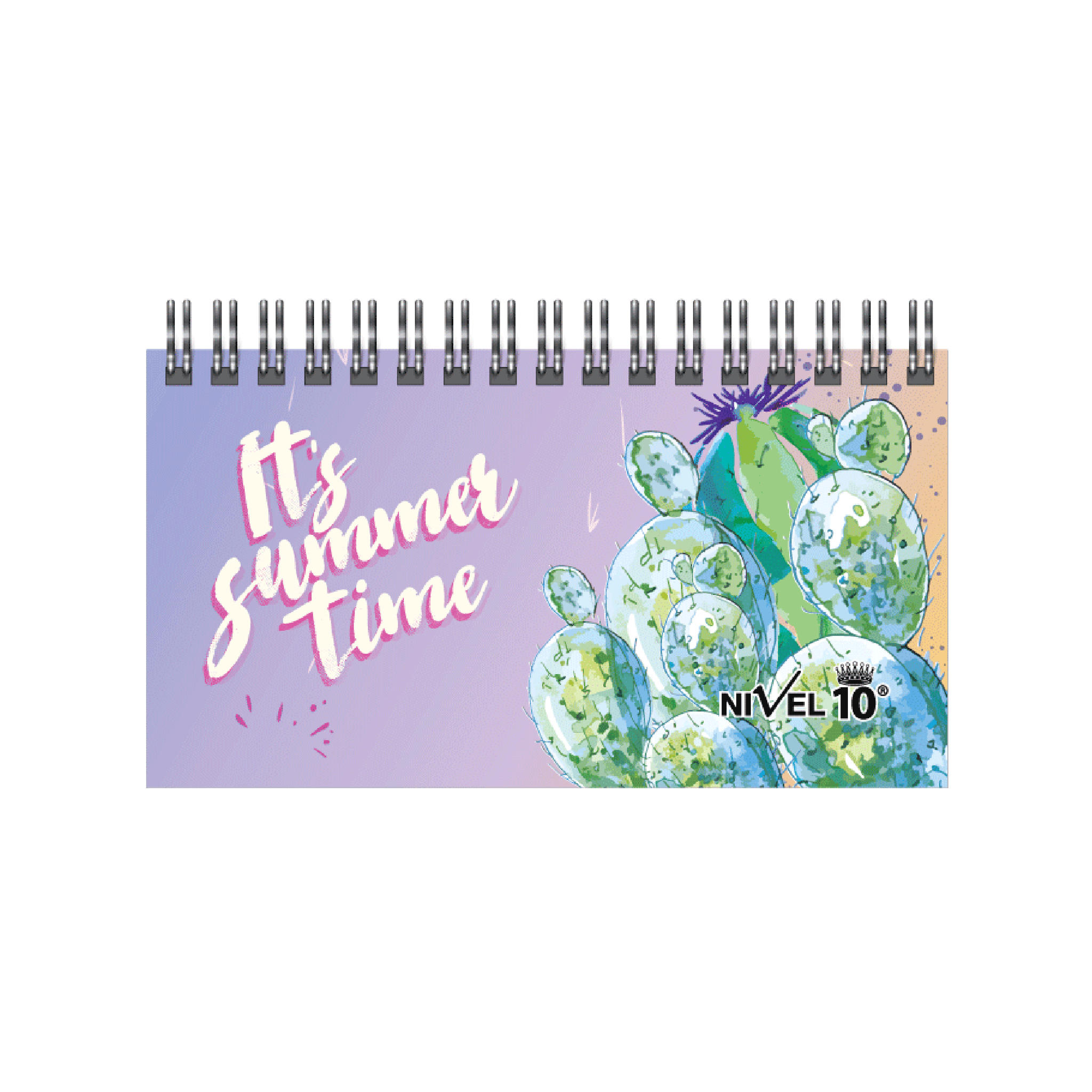 AGENDA NIVEL 10 POWER CACTUS S/VISTA 16 X 8 CM (3154)