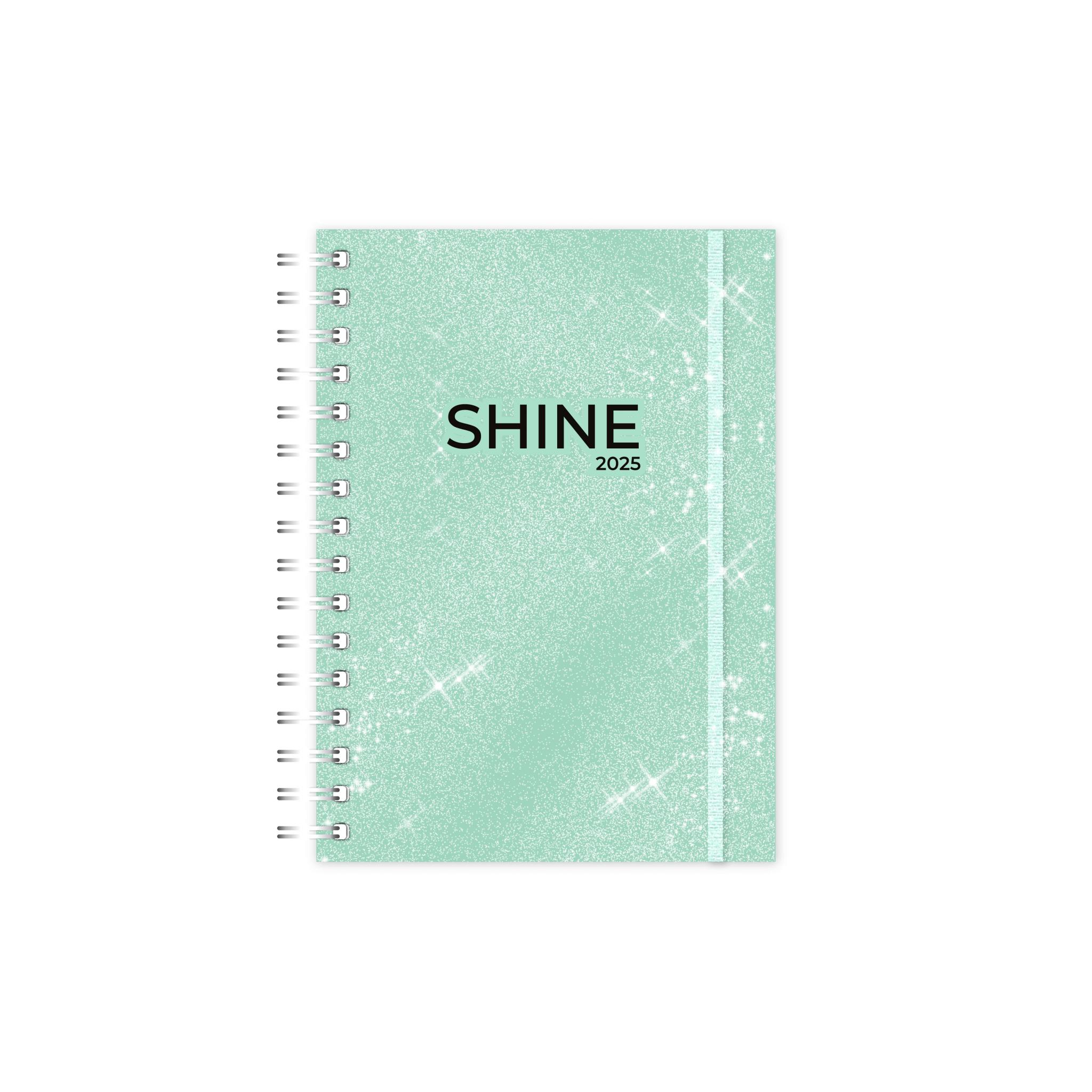 AGENDA ONIX SHINE DIARIA C/ESP. 10 X 15 CM (AG25C006)