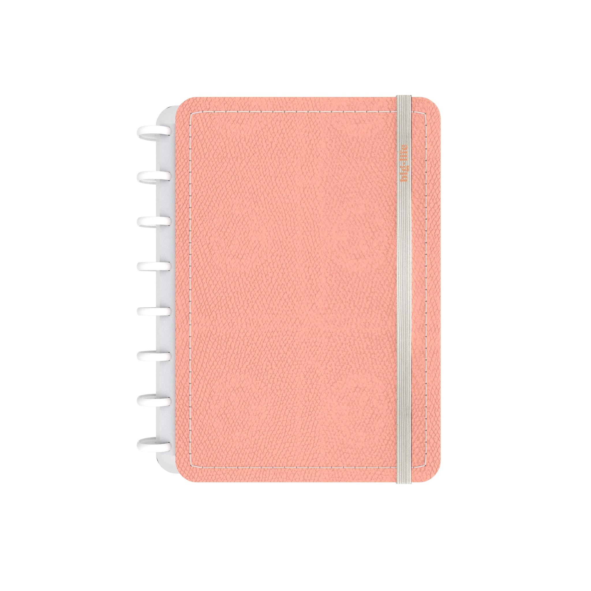 PLANNER PPR LISO ANILLADO C/DISCO 16 X 21 CM