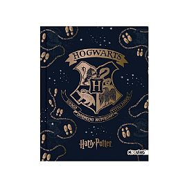 CUADERNO MOOVING T. DURA 19,5 X 24 X 48 HJS. RAYADO HARRY POTTER